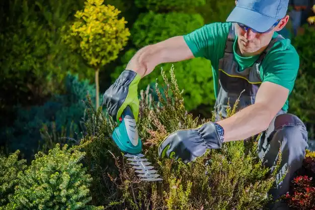 landscaping services Lake Lakengren